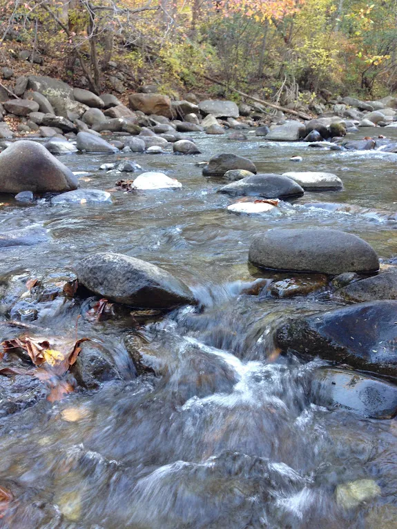 A clear, rocky creek rushing over smooth stones, with fall leaves on the banks.