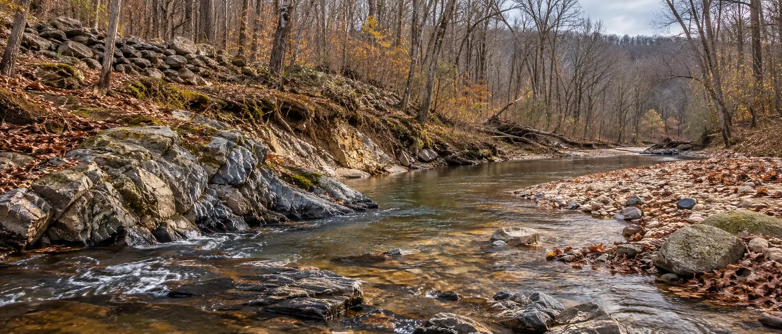 Autumn creek in the Virginia gold belt with bedrock ledges exposed on the bank and a gravel bar across the water, leaves down