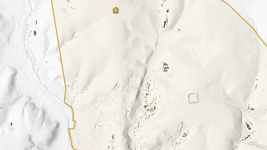 VaGoldMaps LiDAR hillshade near Whitehall Mine showing bare-earth relief, parcel lines, and disturbed ground